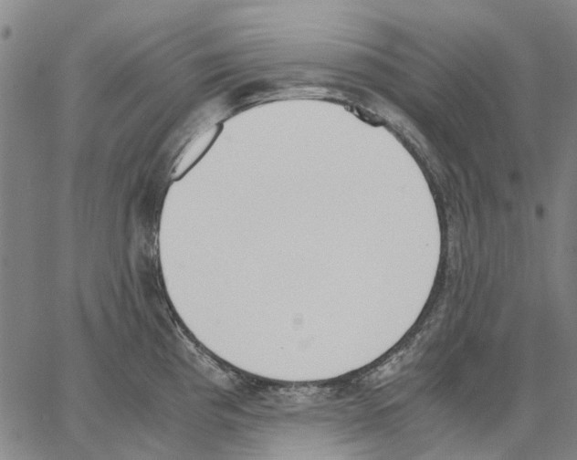 X0000062871193200602101644