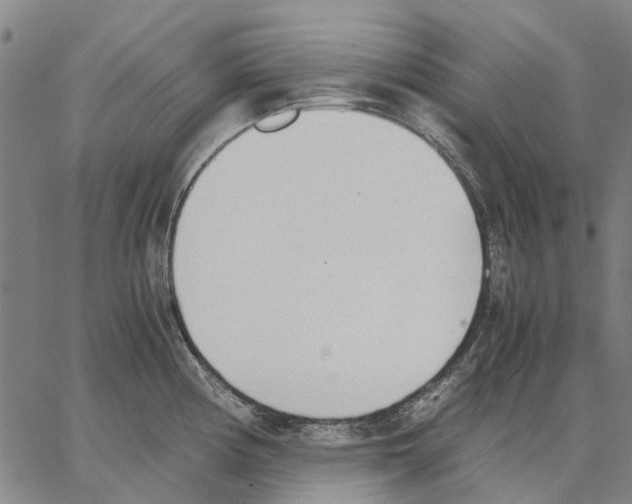 X0000062871194200602101644