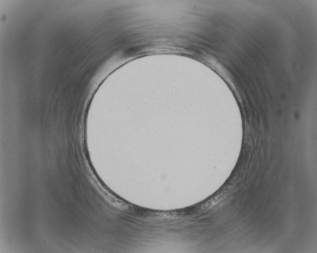 X0000062871195200602101644