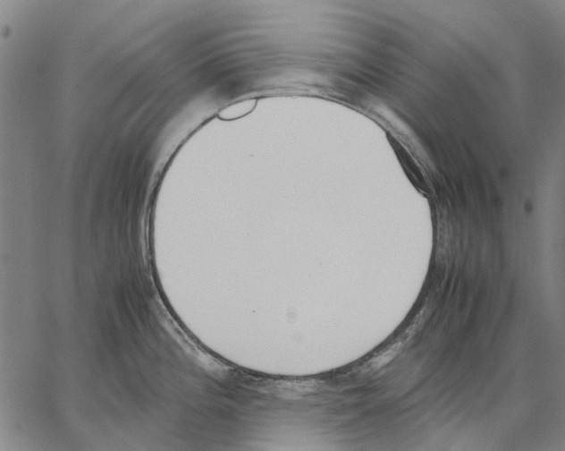 X0000062871196200602101644