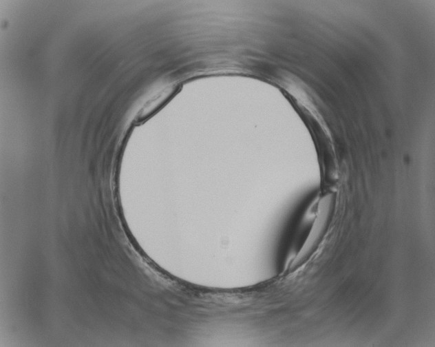 X0000062871197200602101644