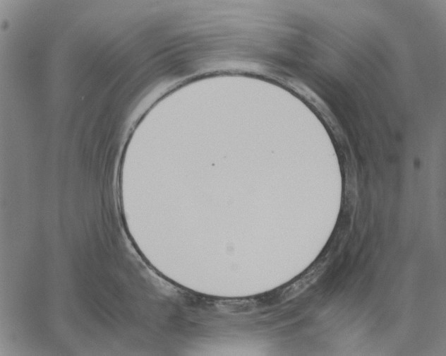 X0000062871199200602101644