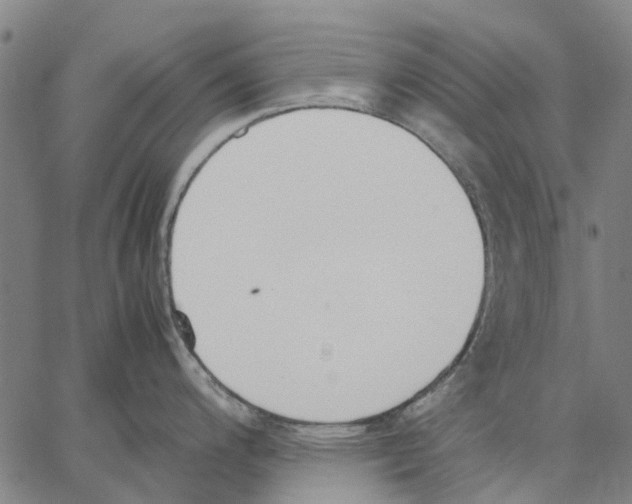 X0000062871200200602101644