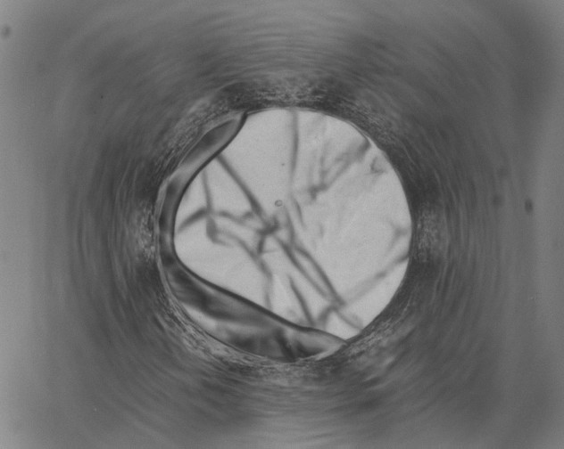 X0000062871202200602101643