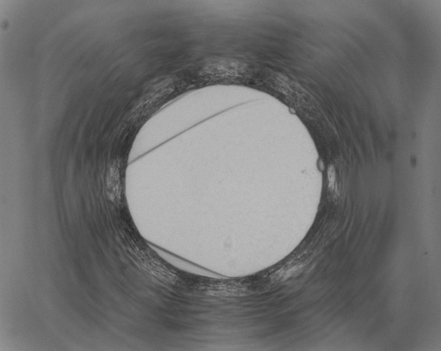 X0000062871203200602101643