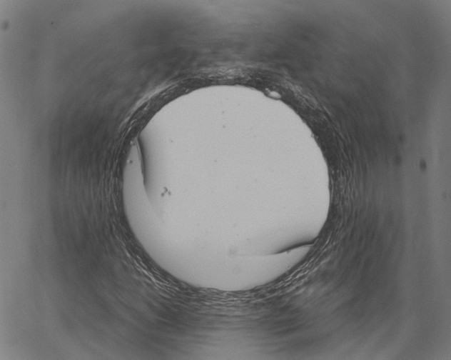 X0000062871206200602101643