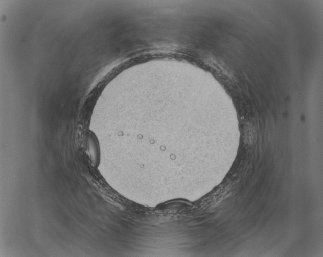 X0000062871208200602101643