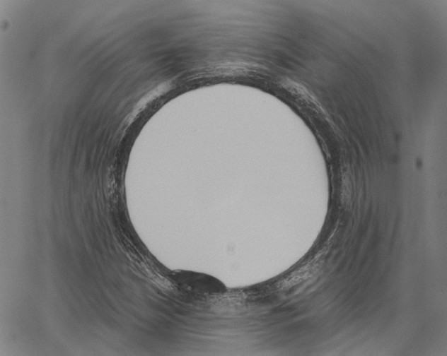 X0000062871210200602101643