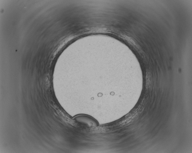 X0000062871212200602101643