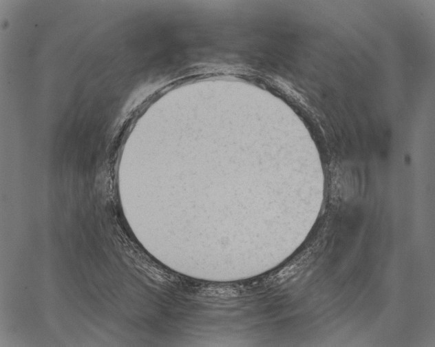 X0000062871215200602101643