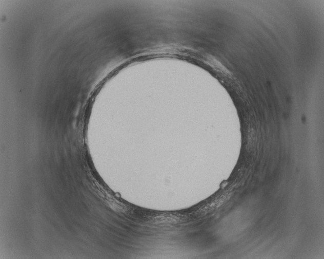 X0000062871216200602101643