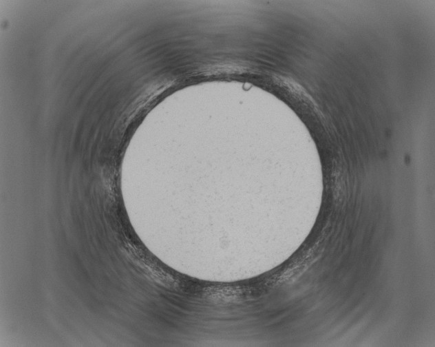 X0000062871217200602101643