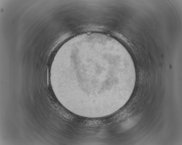 X0000062871219200602101643