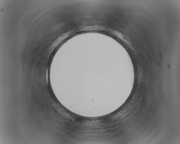 X0000062871221200602101643