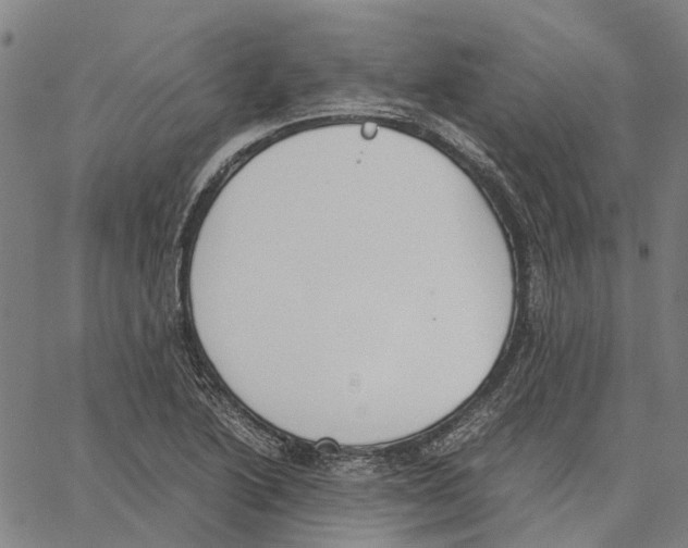 X0000062871222200602101643