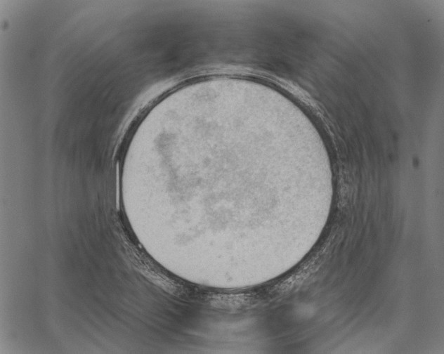 X0000062871223200602101643