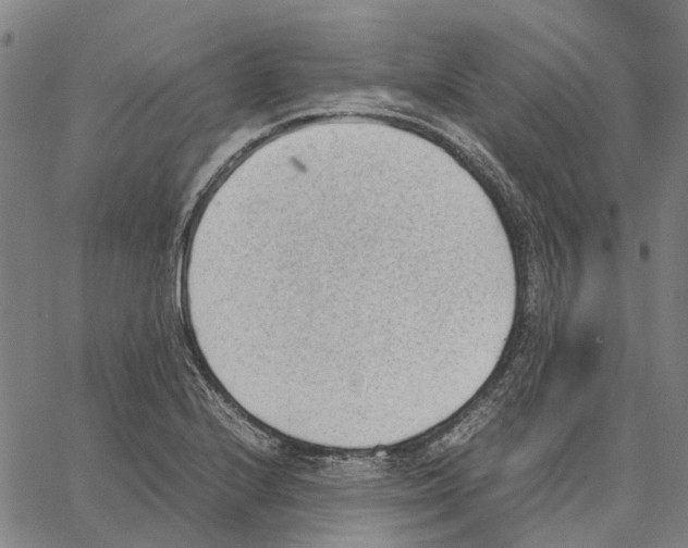 X0000062871224200602101643