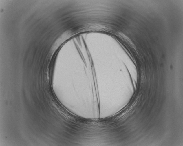 X0000062871226200602101643