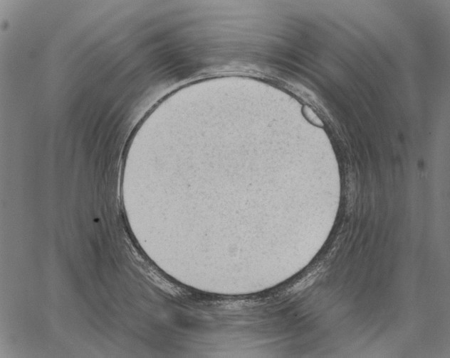 X0000062871228200602101643