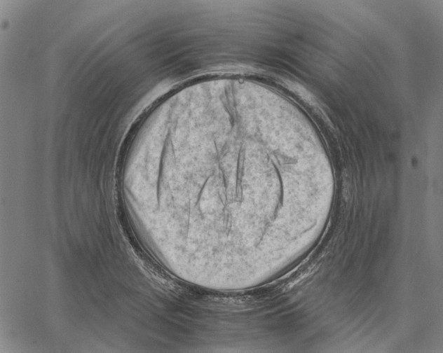 X0000062871229200602101643