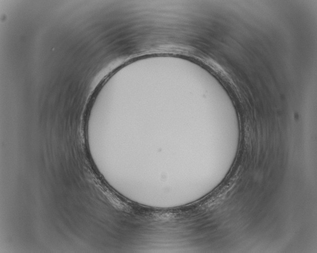 X0000062871230200602101643