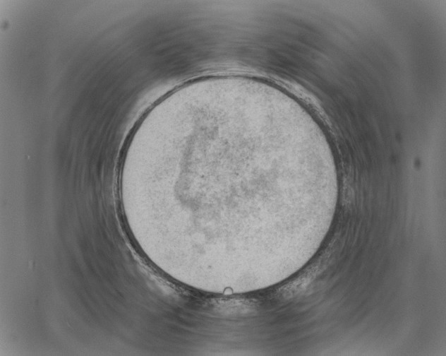 X0000062871231200602101643