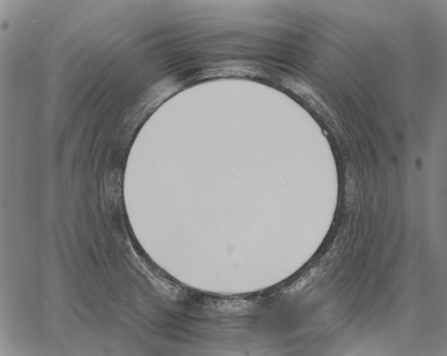 X0000062871233200602101643