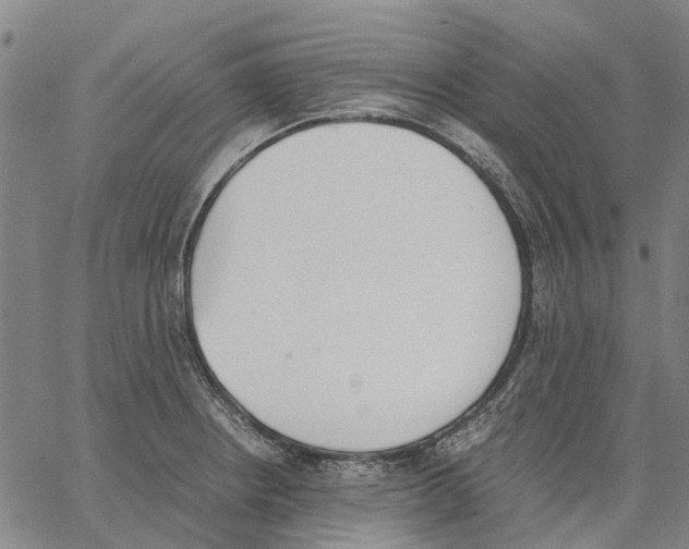 X0000062871234200602101643