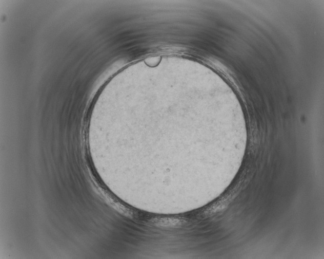 X0000062871235200602101643