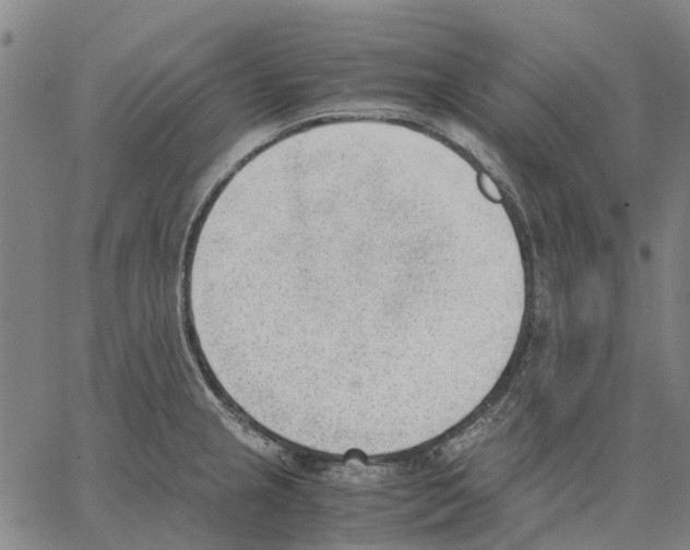 X0000062871237200602101643