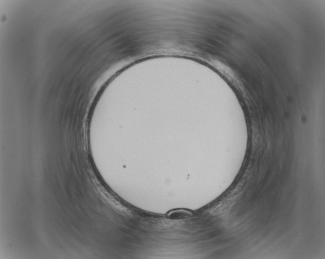 X0000062871238200602101643