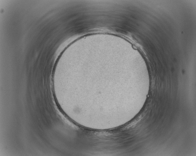 X0000062871239200602101643