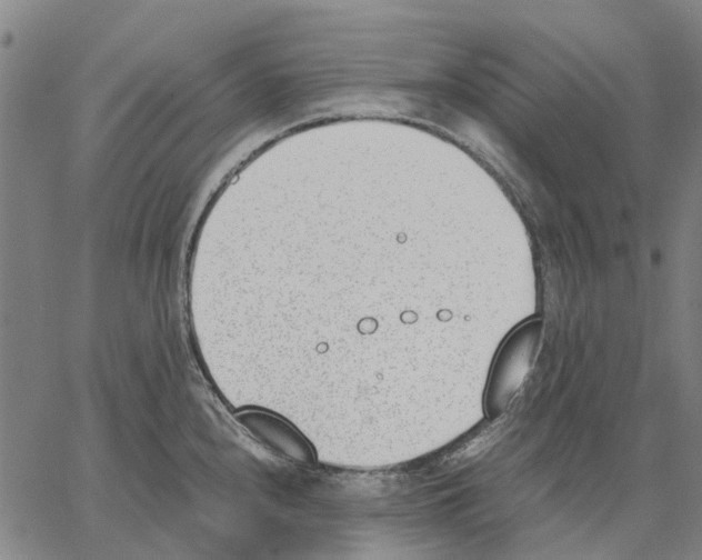 X0000062871240200602101643