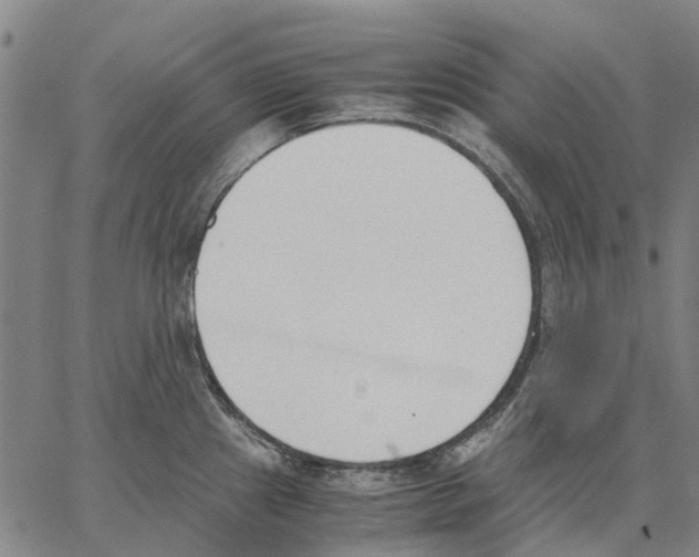 X0000062871241200602101643