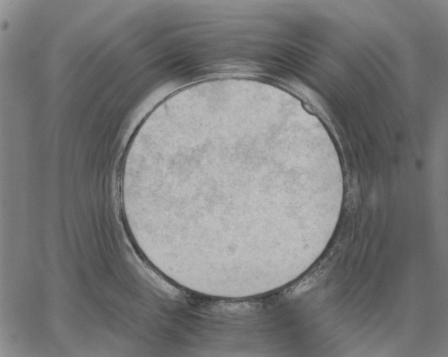 X0000062871243200602101643