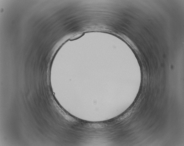 X0000062871246200602101644