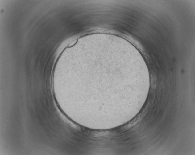 X0000062871247200602101644