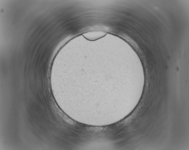 X0000062871248200602101644