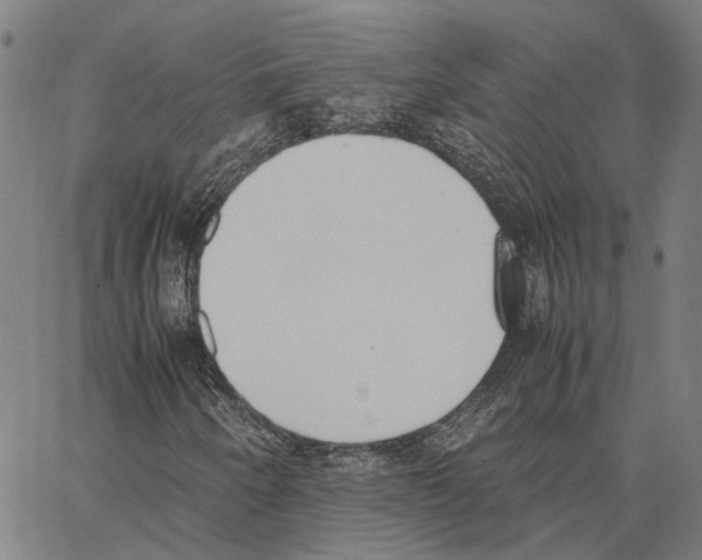 X0000062871250200602101643