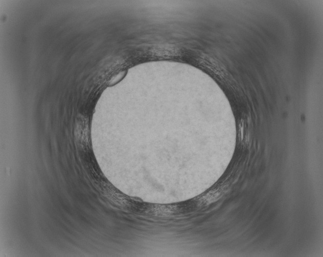 X0000062871251200602101643