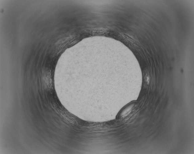 X0000062871252200602101643