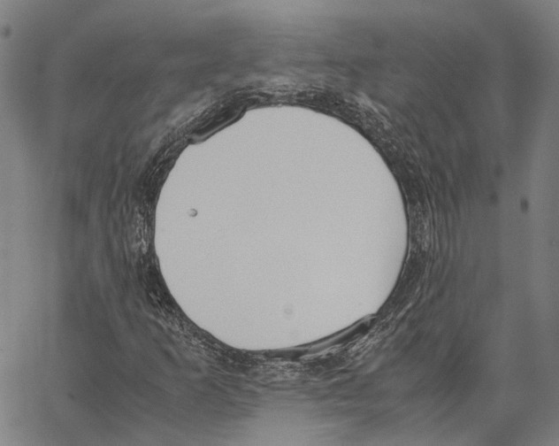 X0000062871253200602101643