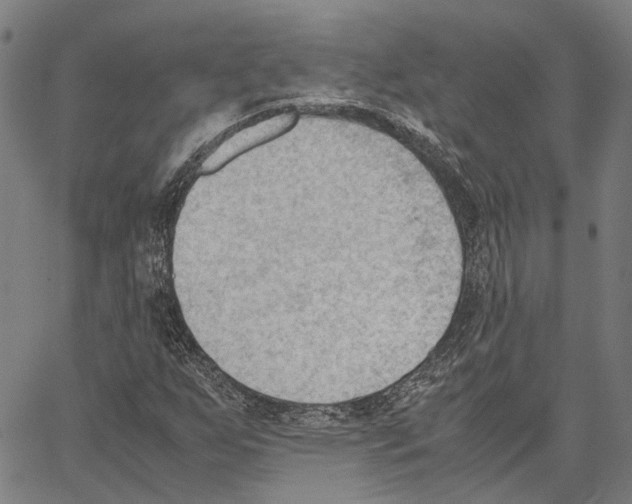 X0000062871255200602101643