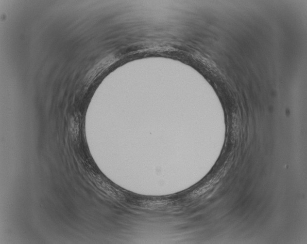 X0000062871257200602101643