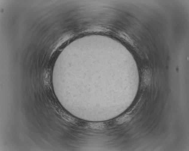 X0000062871258200602101643