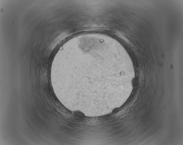 X0000062871259200602101643