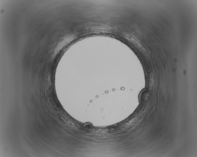 X0000062871261200602101643