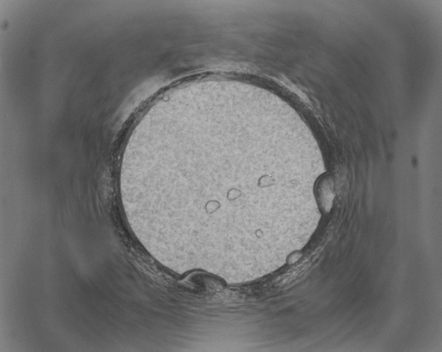 X0000062871263200602101643