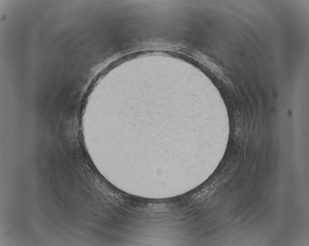 X0000062871264200602101643