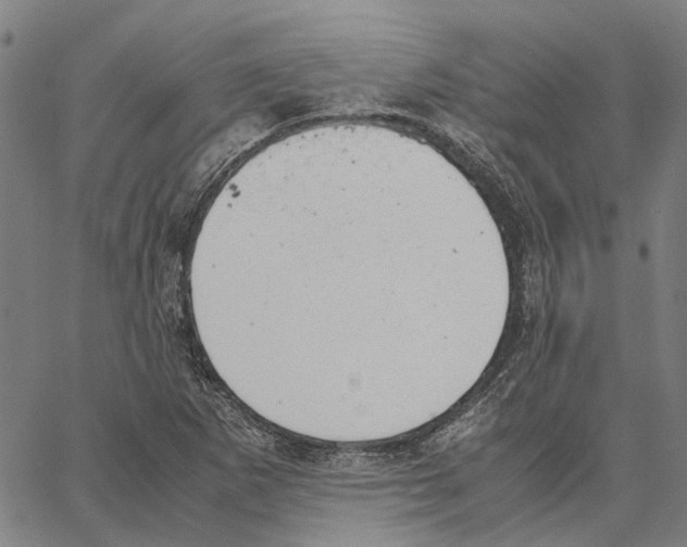 X0000062871265200602101643